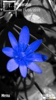 Скачать тему Blue Flower