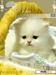 Download mobile theme Cat