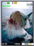 Download mobile theme shark