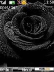 Скачать тему Simple Black Rose