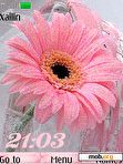 Download mobile theme clock_pink-Flowers-anim-by-xailin