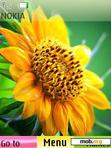 Download mobile theme Sunflower