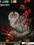 Download mobile theme cat autumn animated