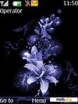 Download mobile theme Abstract Flowers By ACAPELLA