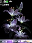 Download mobile theme Lilies Animation