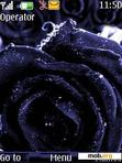 Скачать тему Dark Purple Rose By ACAPELLA