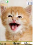 Download mobile theme Red kittens, 12 pictures