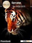 Download mobile theme Tiger