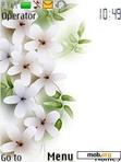 Download mobile theme White Flowers