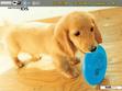 Download mobile theme Clever Dog