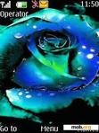 Download mobile theme Blue Rose