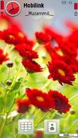 Download mobile theme Red Flowers