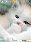 Download mobile theme white cat