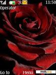 Download mobile theme Red Rose