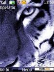 Download mobile theme Purple Tiger By ACAPELLA