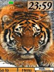 Download mobile theme Tiger clock  animat