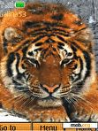 Download mobile theme Tiger animation