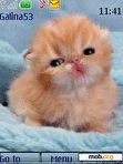 Download mobile theme Red kitten anim