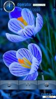 Download mobile theme spring crocus