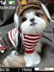 Download mobile theme Cute Dog