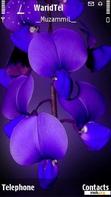 Download mobile theme Blue Orchid