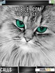 Download mobile theme Grey Cute Cat