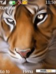 Download mobile theme animated tiger