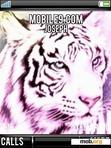 Download mobile theme Animated tiger