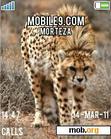 Download mobile theme Iranian cheetah theme