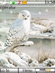 Download mobile theme White Owl