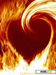 Download mobile theme fired heart