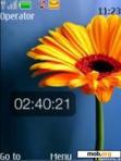 Download mobile theme samsung flower