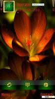 Download mobile theme crocus in  evening