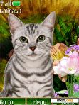 Download mobile theme Cat $ flowers anim