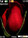 Download mobile theme Deep Red Rose