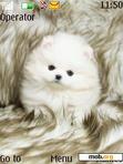 Download mobile theme White Cute Puppy