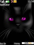 Download mobile theme Absolutely Black Cat