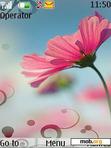 Download mobile theme Just Flower