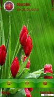 Скачать тему tulips_in_the_rain