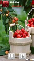 Download mobile theme Cherries