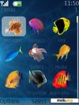 Download mobile theme Aquarium