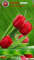 Скачать тему Animation tulips and rain