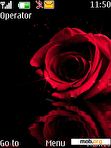 Download mobile theme Deep Red Rose