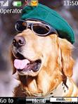 Скачать тему Absolutely Cool Dog