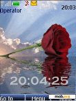 Download mobile theme Rose over water