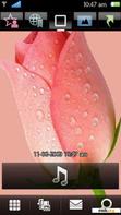 Download mobile theme Pink Flower