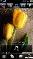 Download mobile theme Tulips Flower