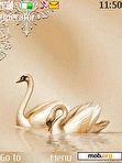 Download mobile theme Beautiful Swans