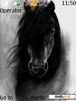 Скачать тему BLACK HORSE