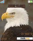 Download mobile theme Eagle